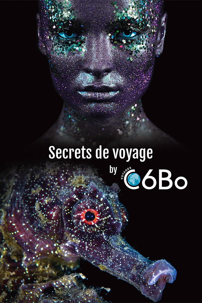 C6Bo Voyages plongée - visuels 2019 - Hippocampe