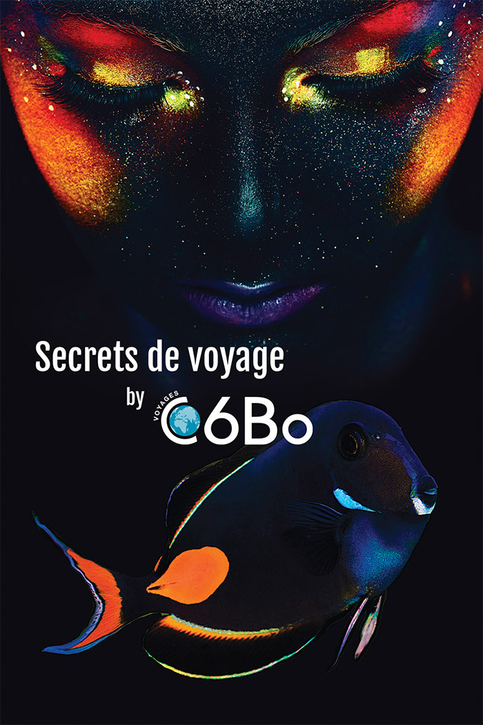 C6Bo Voyages plongée - visuels 2019 - Poisson chirurgien