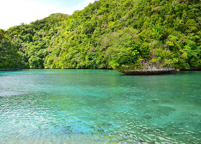 5 raisons de plonger en Micronésie C6Bo Voyage blog plongée
