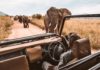 Les plus beaux safaris d'Afrique - C6Bo Voyages, blog plongée