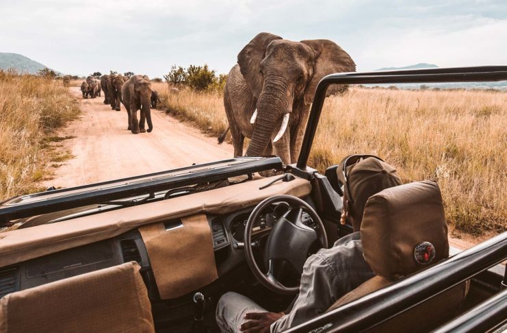Les plus beaux safaris d'Afrique - C6Bo Voyages, blog plongée